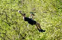 DSC07227 copie.webp
